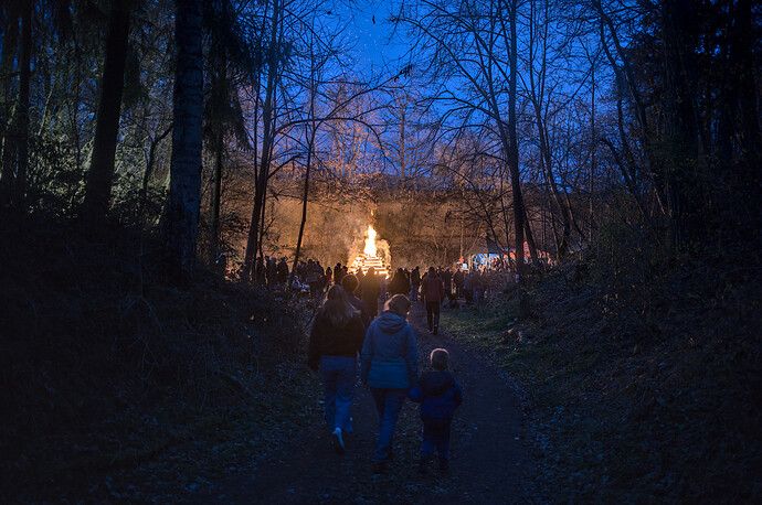 260404_202536_DSC09408