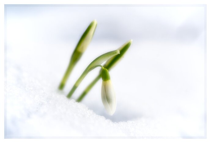 260216_132312_DSC08577_01