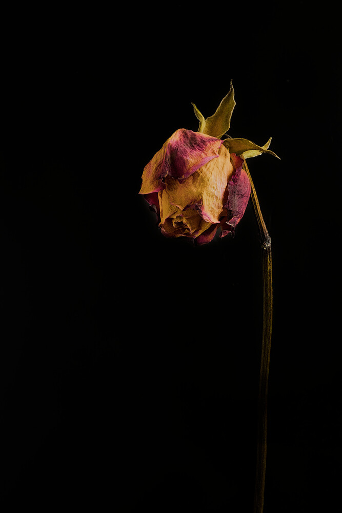 24-04-14_MG_0155