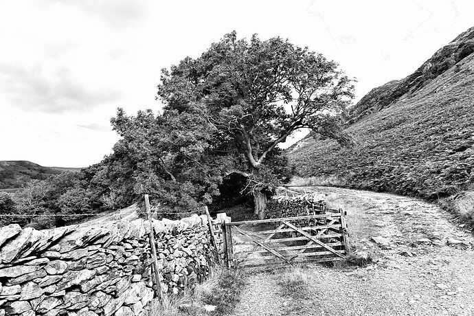 A7R00652bw