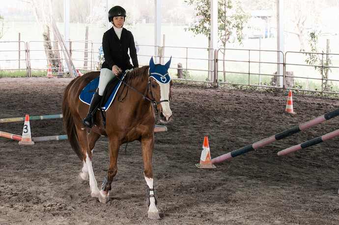 IMG_6624 Bitless_I_2023_1