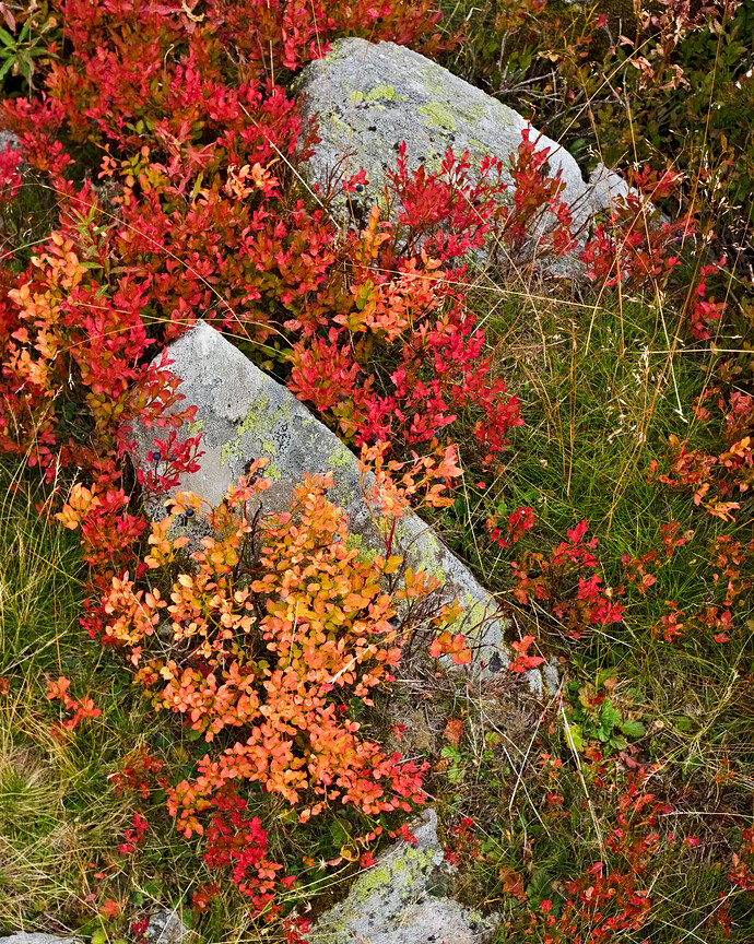 20250913_2025-09-13 nendaz_0091-1