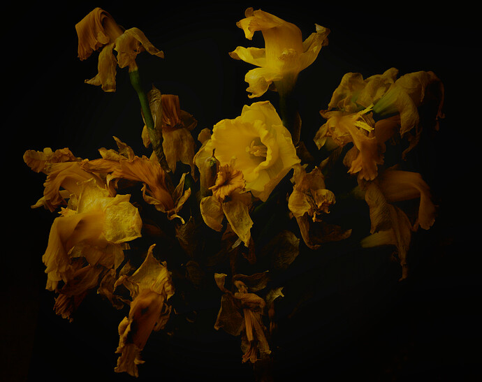 26-03-26 _MG_9285
