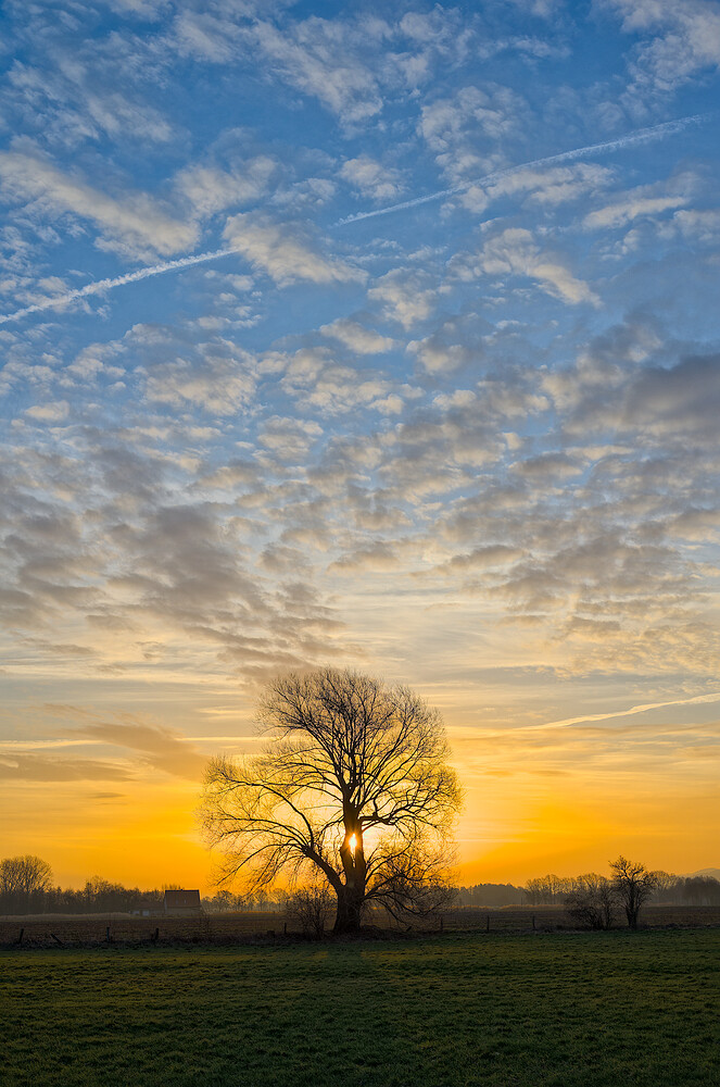 DSC_9310_fix_dt_srgb