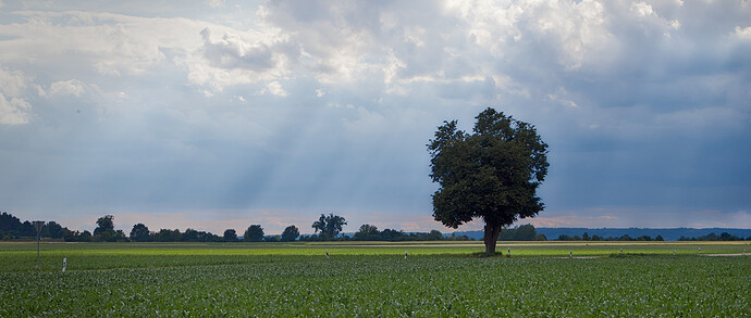 P6060047_01