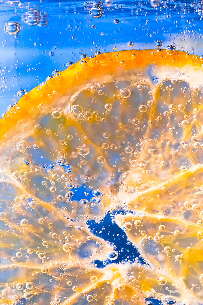 2026-01-08_Jan At Home_101 RawTherapee and GIMP (1)