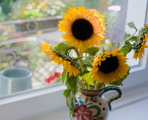 Sunflower_filmicv7_cutout