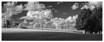 _DSC1992