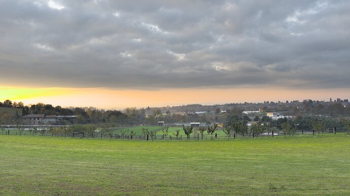 20221125_081712_0057