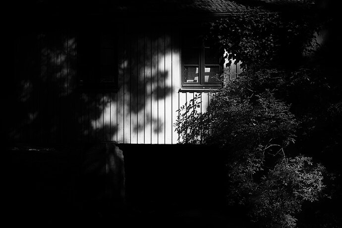 DSC_1652
