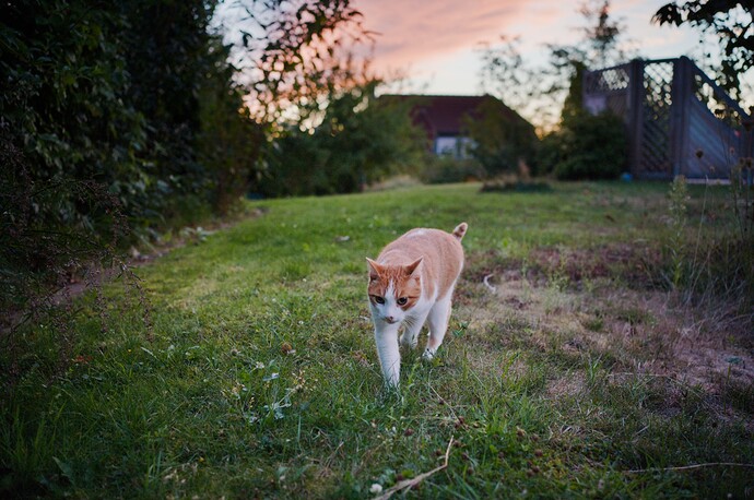260824_203703_DSC07493DT