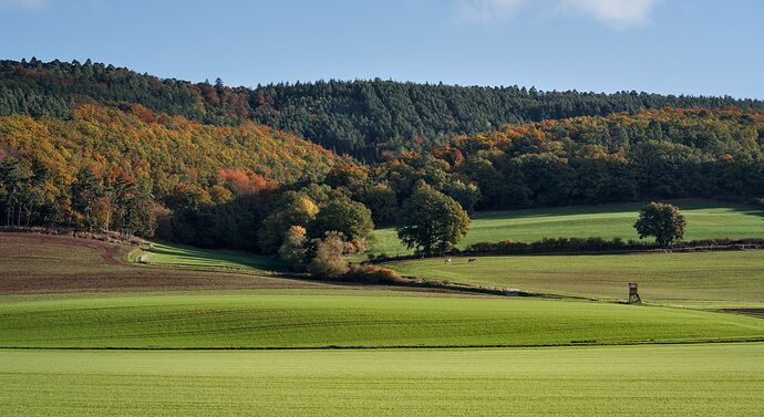 251018_094402_DSC05235