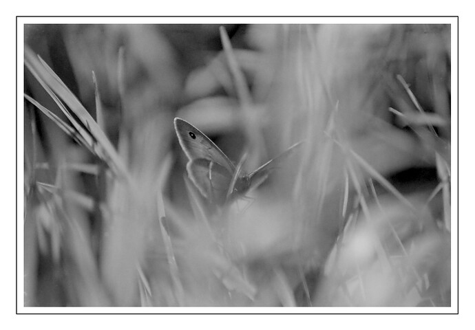 DSC04818_01