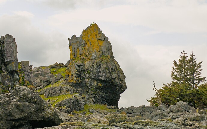 20250503-190501-3130-_DSF4075_RPF