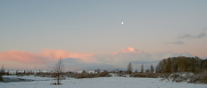 20260106-084345-DSC_2105