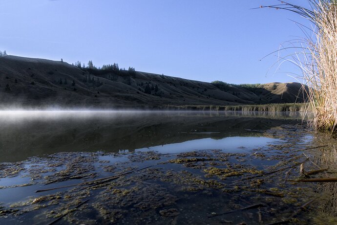 Fishing_DSC1450