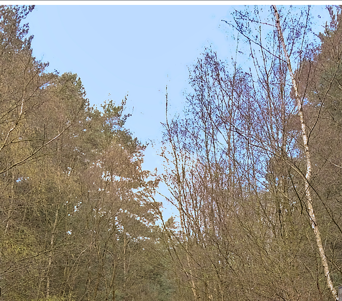 Screenshot_20230415_164824