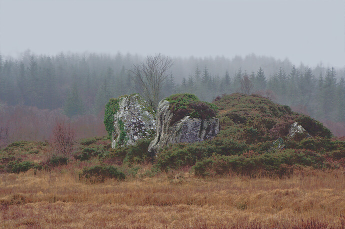 181212 split rock mist (13)_1