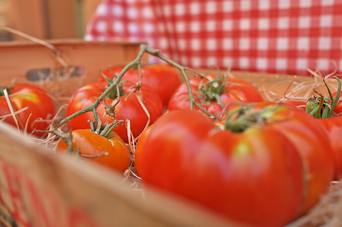 2022-08-07t15-40-50_1144-output