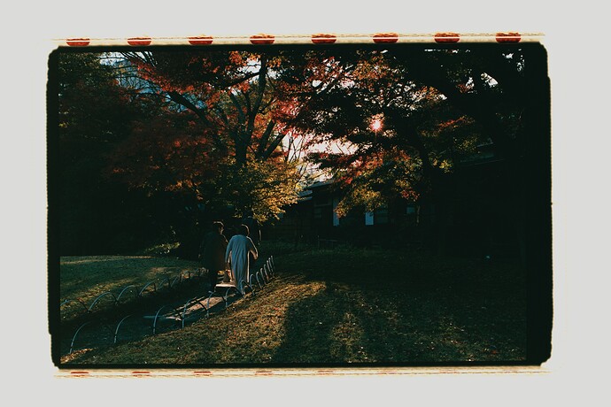 test02_kodak_gold_instead_of_superia_7C_DSC09874_small