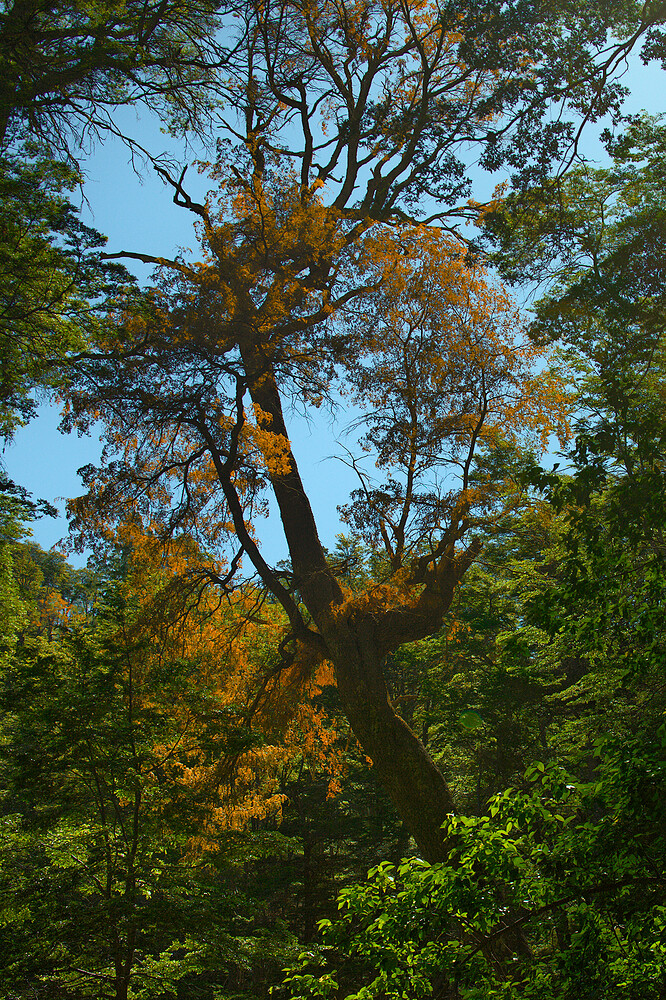 E5Dii252_2021_12_04_1546_04.CR2.xmp