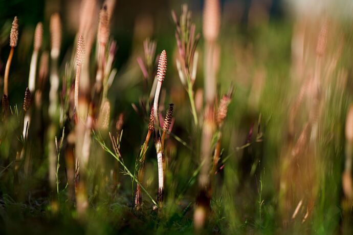 260419_190605_DSC00105