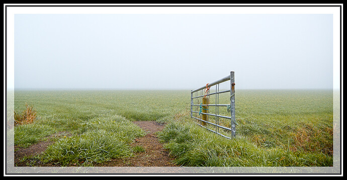 2025-11-07-DSC_0899_LR