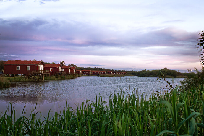 20190421_0086-ART and GIMP L-a-b