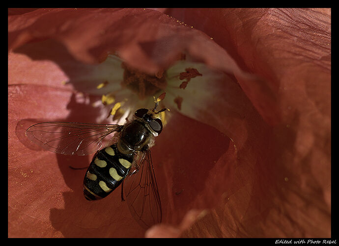 DSC_5420_HD