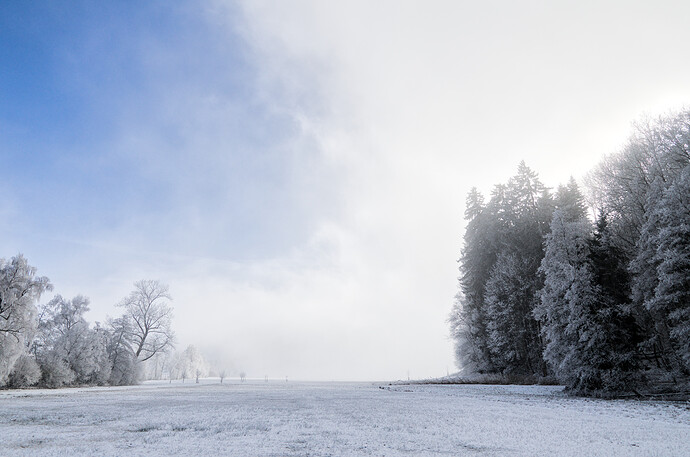 2024-01-14_14-03-19_DSC_0054_03