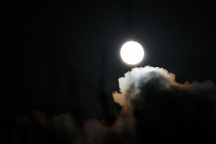 20260402-222442-DSC_0325-0.NEF