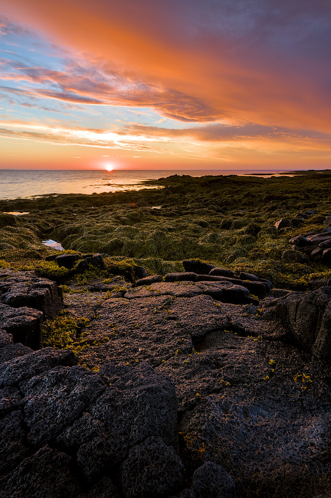 2018-07-27__7M33870.ARW