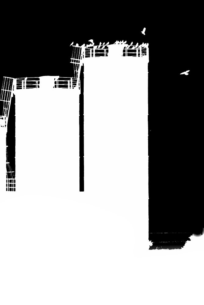 20230704_DSC_7055_02