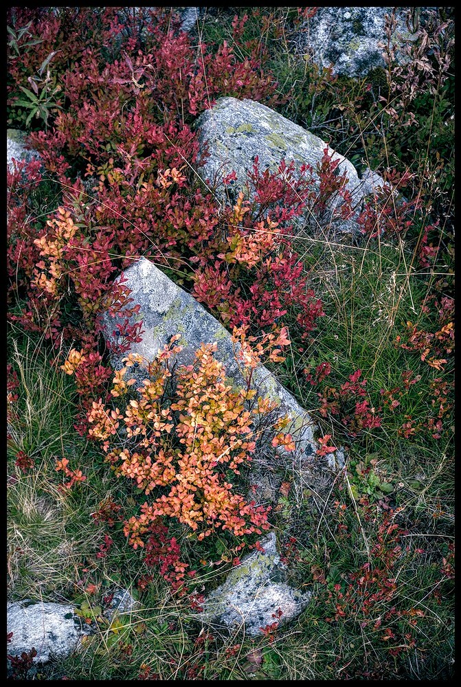 20250913_2025-09-13 nendaz_0091