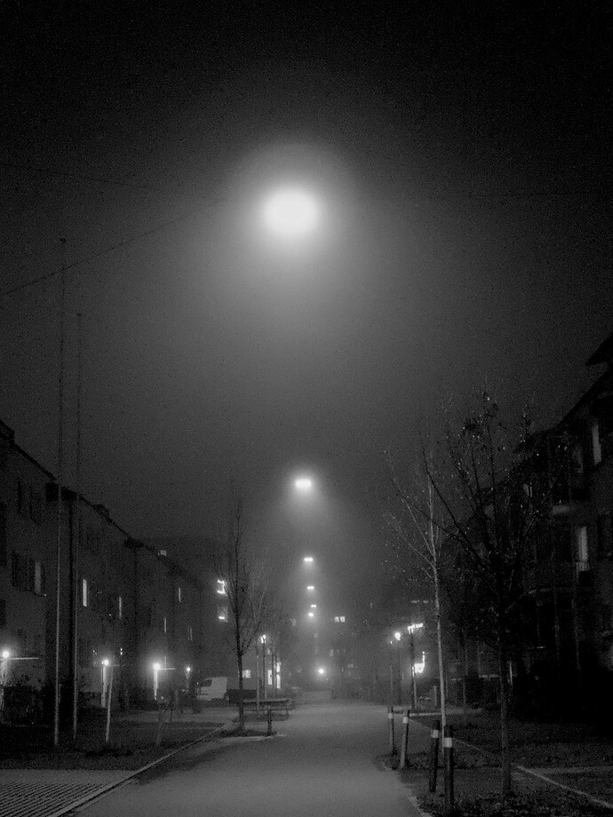 2025-12-09-18-01-02-P1080552_02