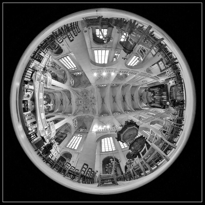 2025-10-27-IMG_4641- bw_LR