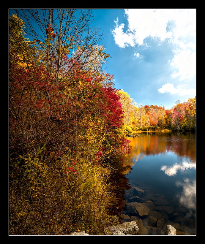 2025-10-18 11.38.12 - Autumn in Appalachian