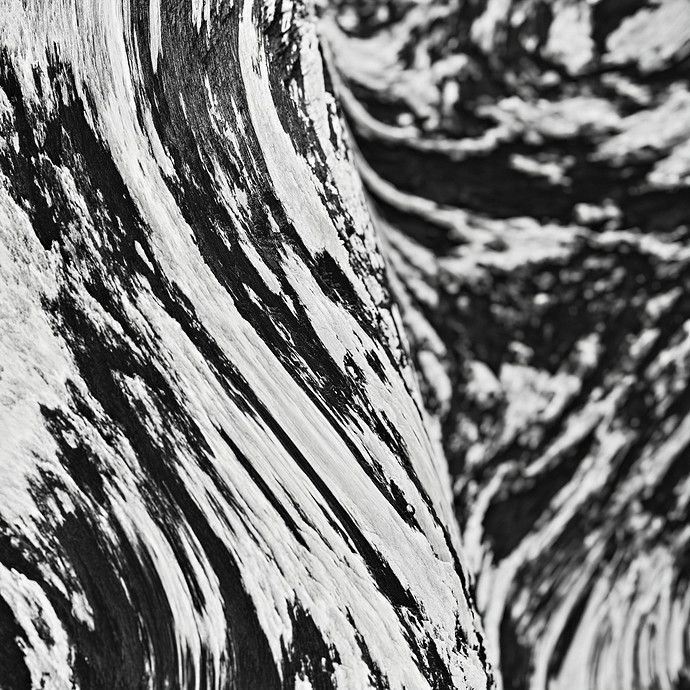 Digital_Macro_6_web