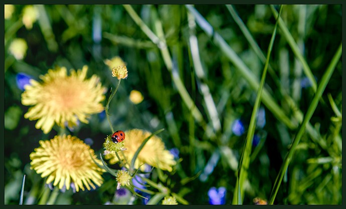 260501_175610_DSC00946