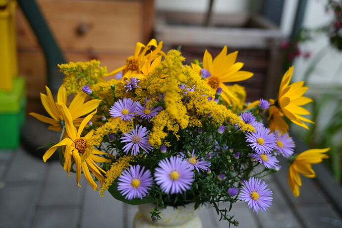 20260920_181604_from_camera