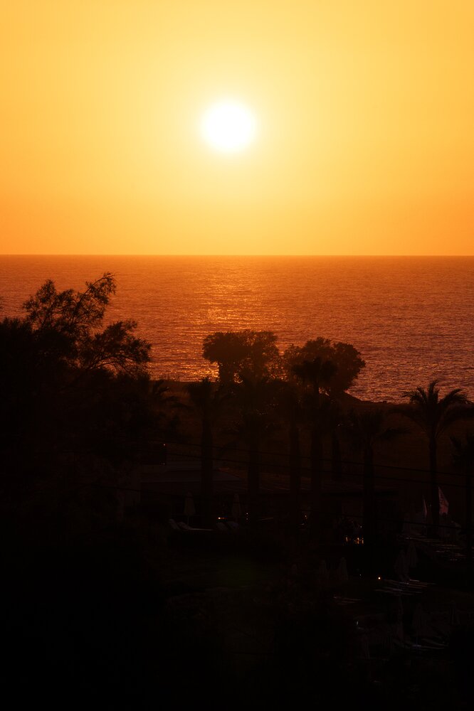 2024-06-22-DSCF1994_3