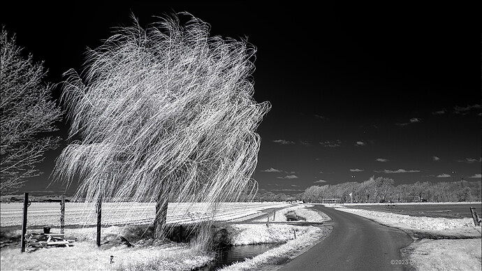 IRGP8136-Wandeling-10-24-ISO100-dt_01-2023-web