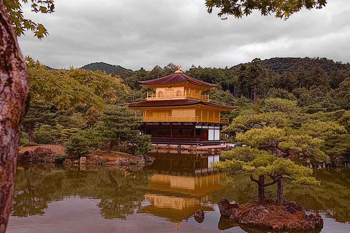 2025_10_11-10_32_54_DSCF7088_01