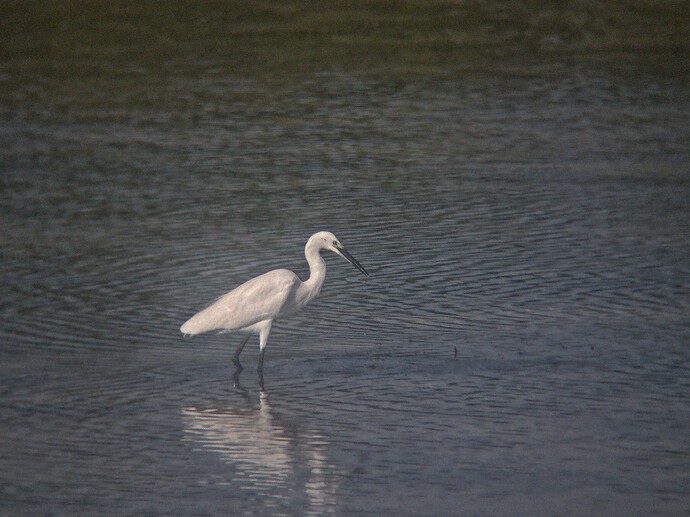 IMG_20251119_074707.edited.v4