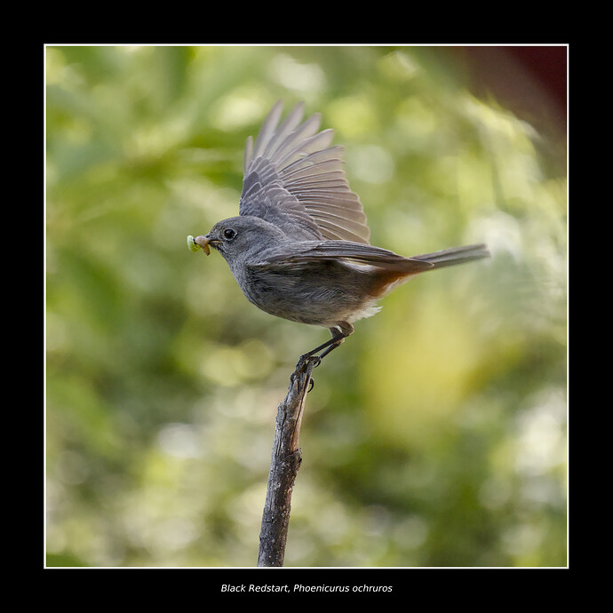 IMG_2026_001