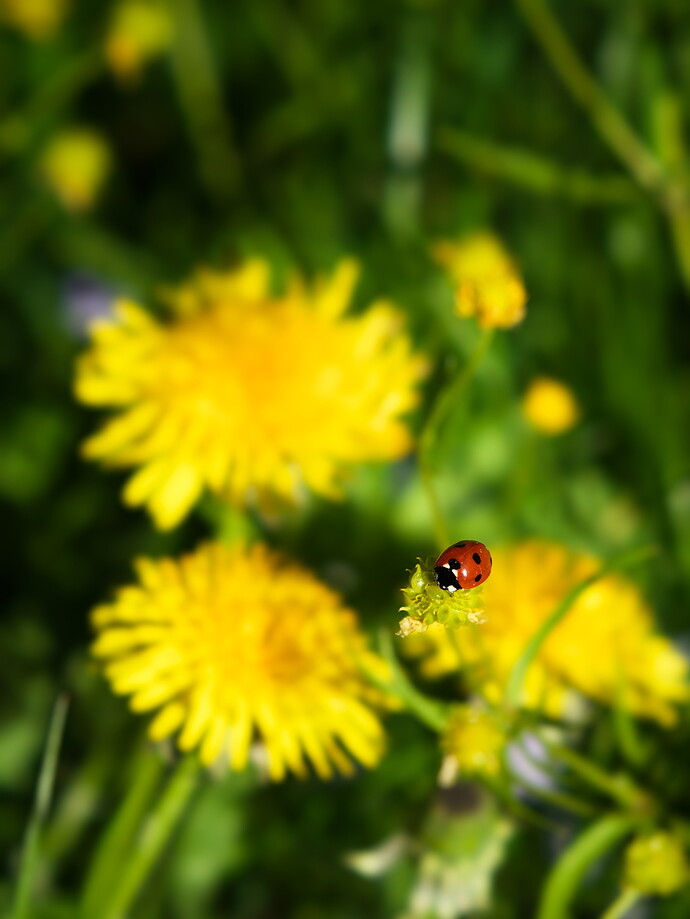 260501_175610_DSC00946