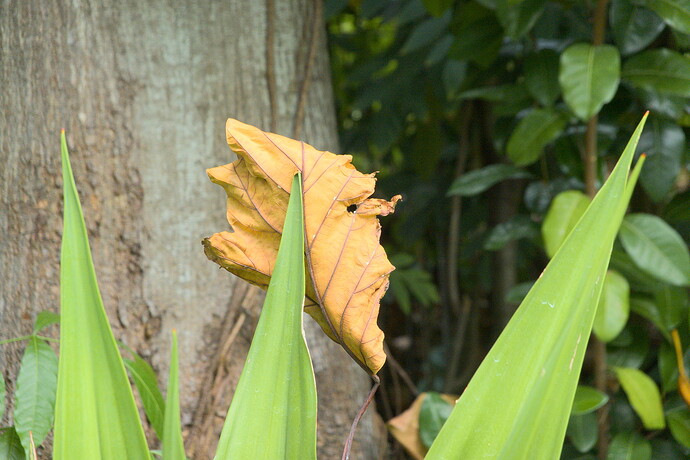 DSC01978