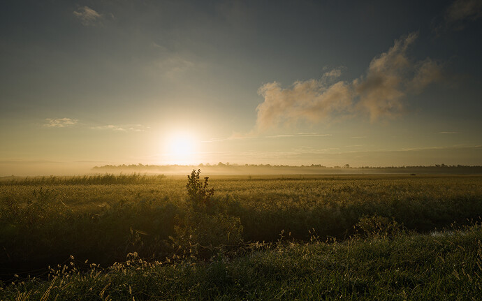 2024-09-29 04.27.55_0