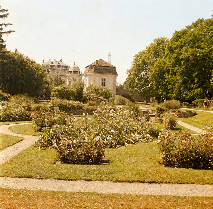 DSCF7194 RawTherape and GIMP (1)_Restored