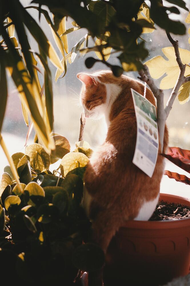 250412_090048_DSC02448-portra160